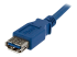 StarTech.com 1m Blue SuperSpeed USB 3.0 Extension Cable A to A - Close up