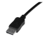 StarTech.com 50 ft DisplayPort Cable with Latches - Close up