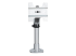 StarTech.com Desk Mount Monitor Arm, VESA or Apple iMac/Thunderbolt Display up to 14kg, Articulating Height Adjustable Single Desktop Monitor Pole Mount, Desk Clamp or Grommet, Silver - Front