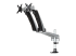 StarTech.com Desk Mount Dual Monitor Arm - Right-angle